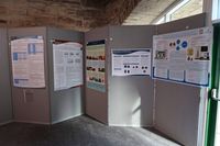 IMG_0778
